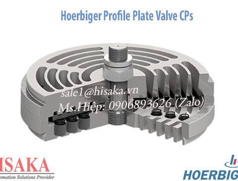 Hoerbiger profile plate valve cps