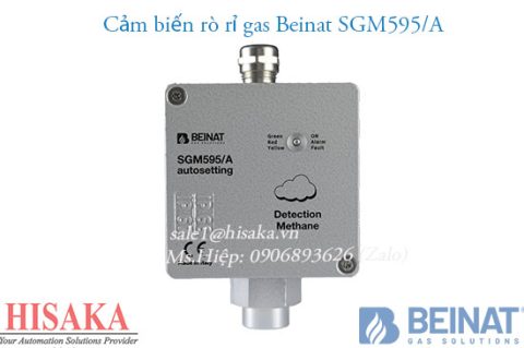 cảm biến Beinat SGM595A
