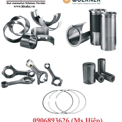 Linh kiện xi lanh Mahle