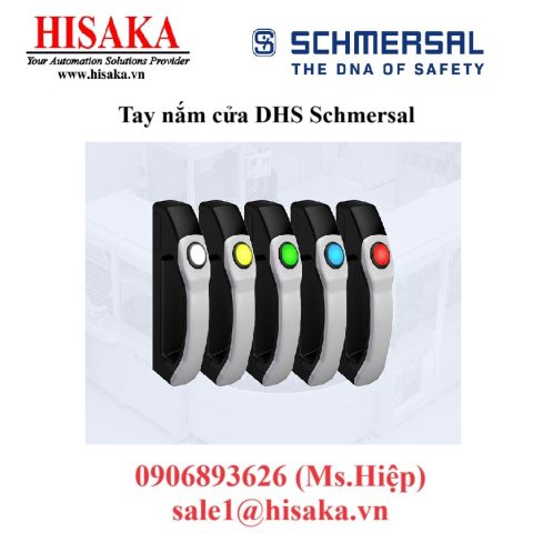 Tay nắm cửa DHS Schmersal